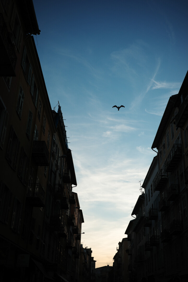 Photograph from the eu23 series by Kaz Lewis